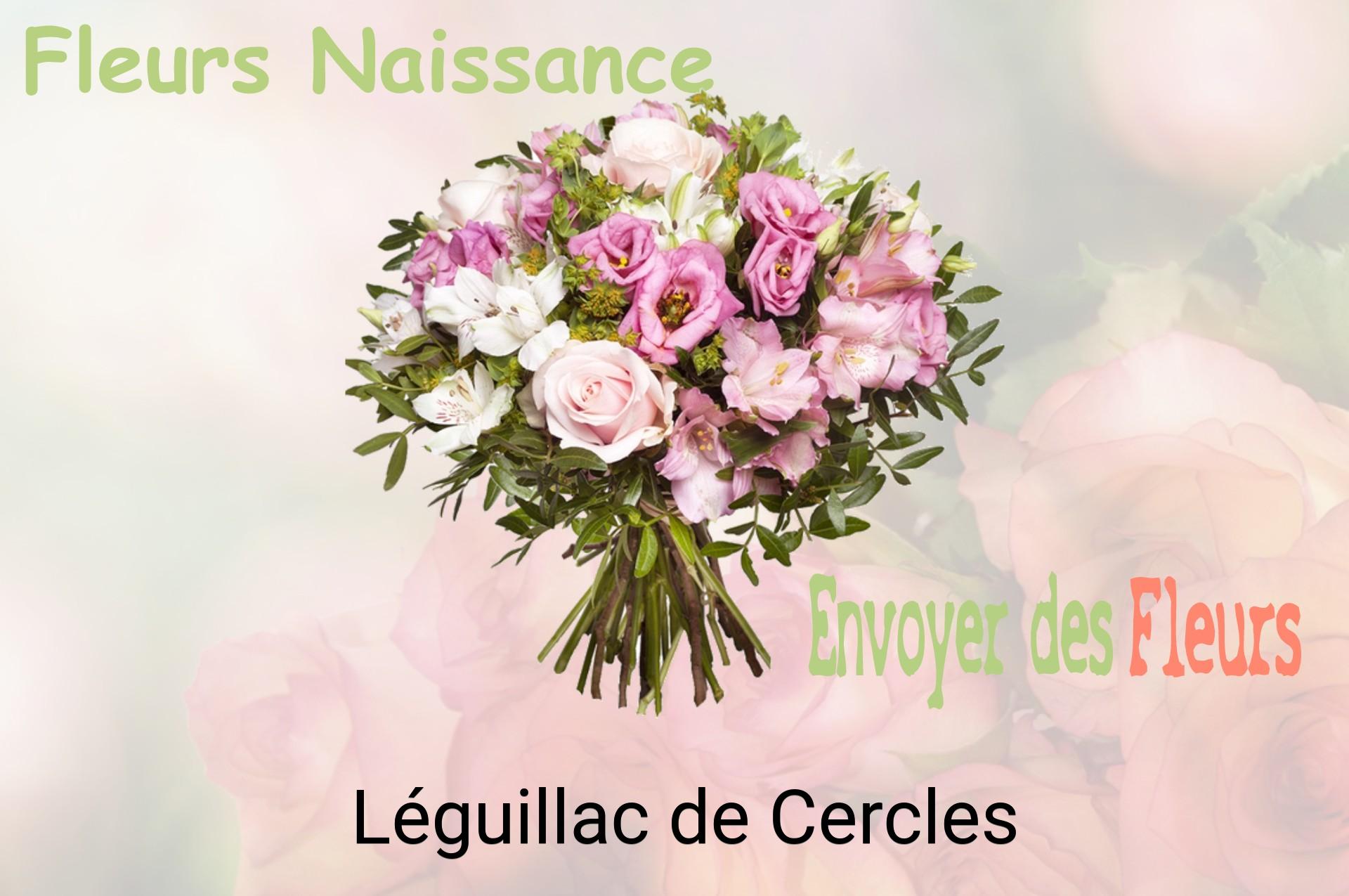 Bouquet de fleurs de naissance livré à Léguillac-de-Cercles